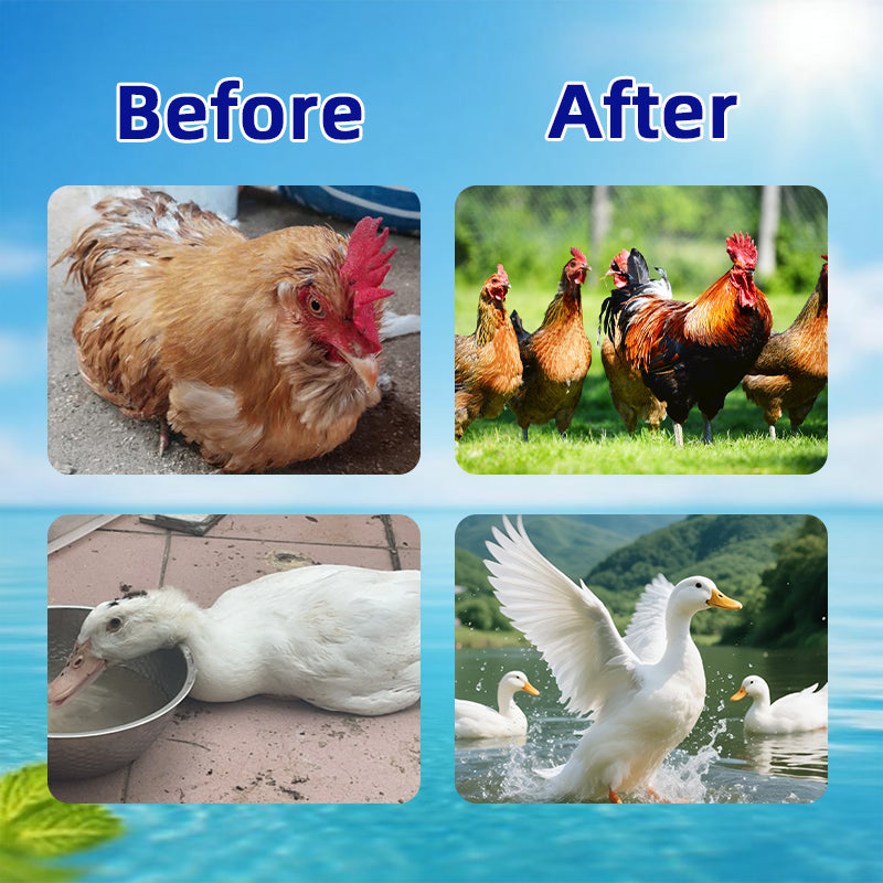 Cool Plus Poultry