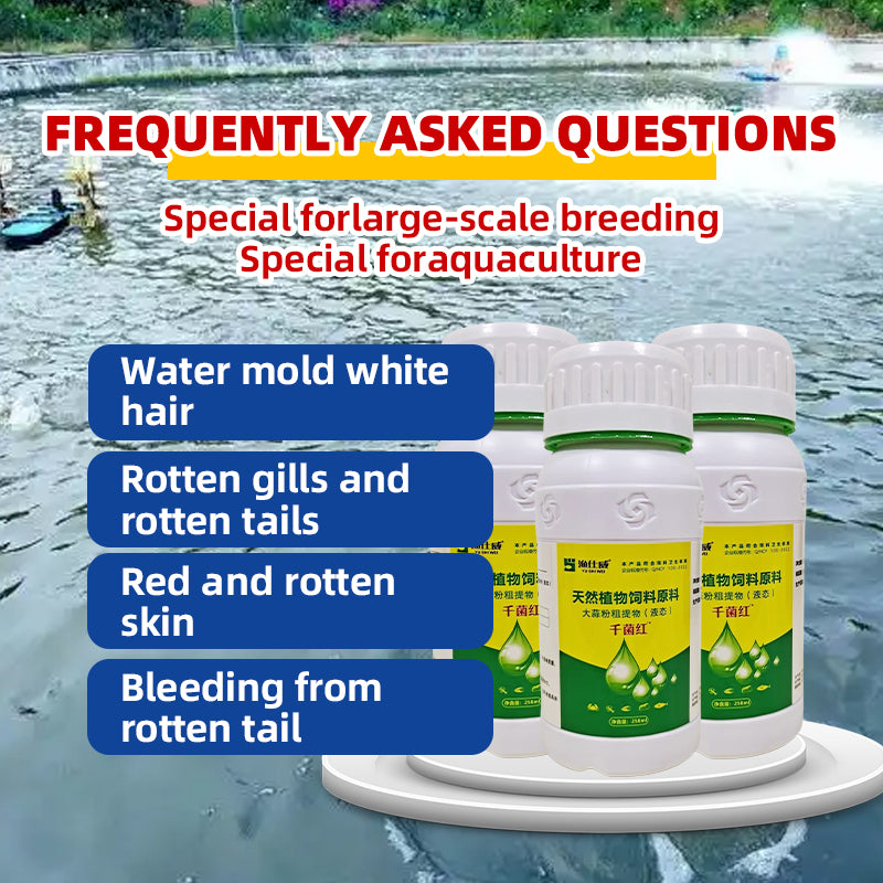 Aquatic Safe-Skin Rot, Gill Rot & Fungal Growth—Safe & Efficient