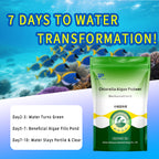 Chlorella Algae Podwer-Rapid Water Fertilization • Dissolved Oxygen Enhancement • Algal Balance