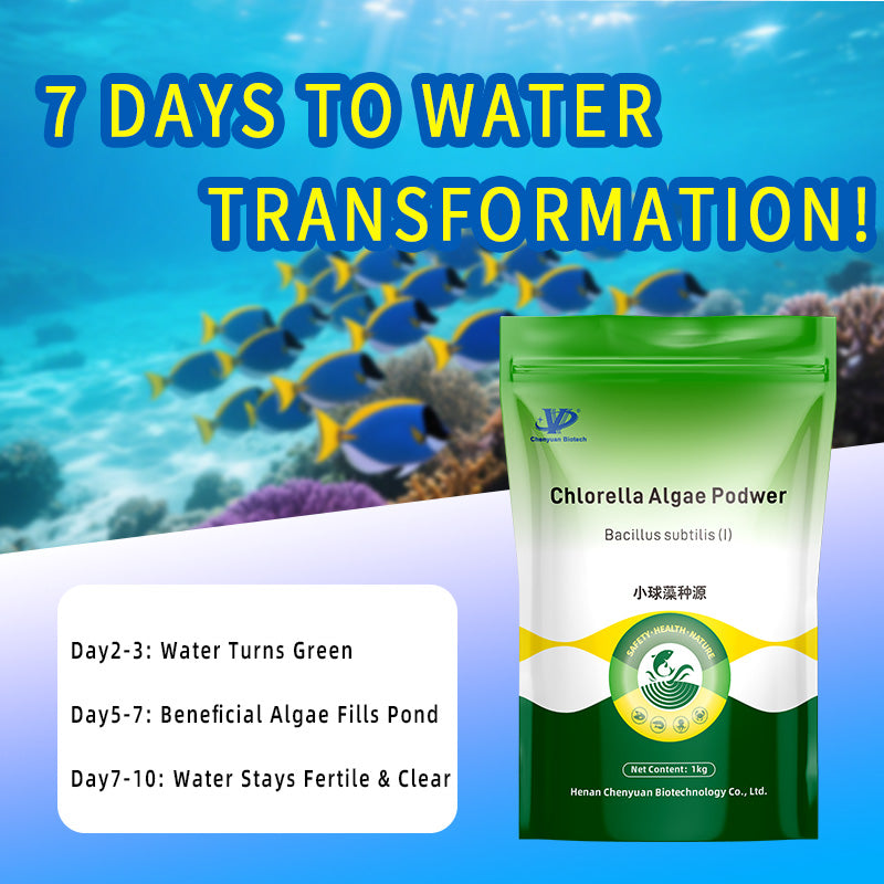 Chlorella Algae Podwer-Rapid Water Fertilization • Dissolved Oxygen Enhancement • Algal Balance