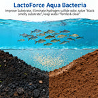 LactoForce Aqua-Decompose residual bait and feces Regulate pond pH 100-billion concentrated fermentable bacteria for intestinal regulation and feeding induction