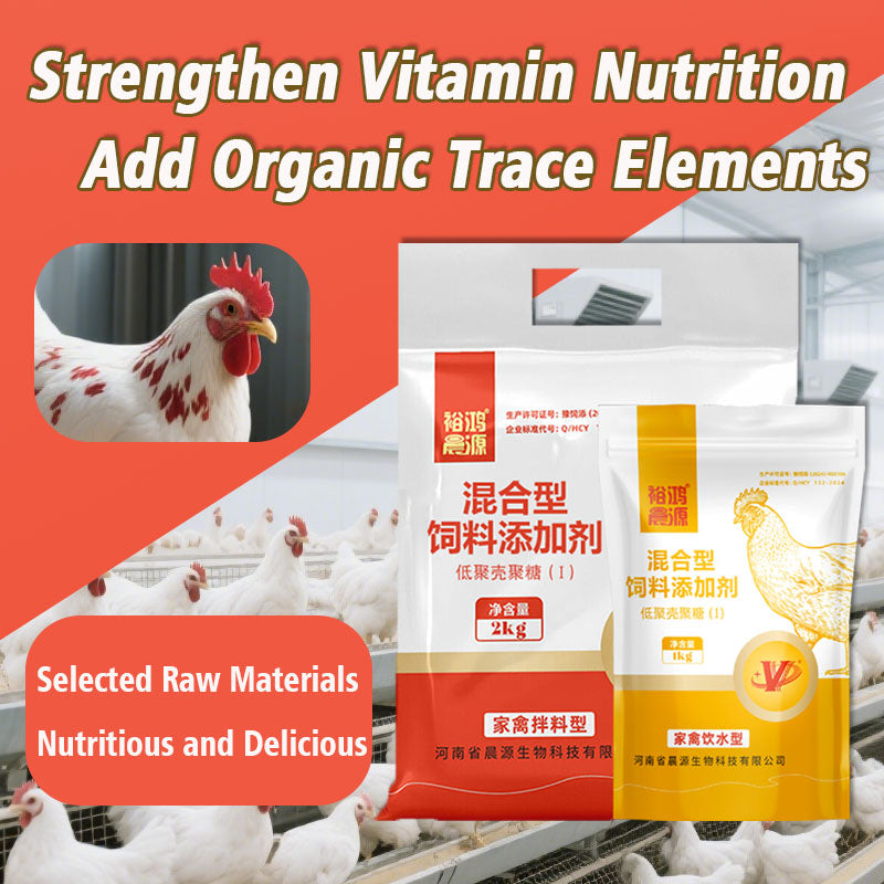 Immune Enhancer for Poutry-Boosting Immune System Maturation and Feed Utilization for Faster Growth in Chickens