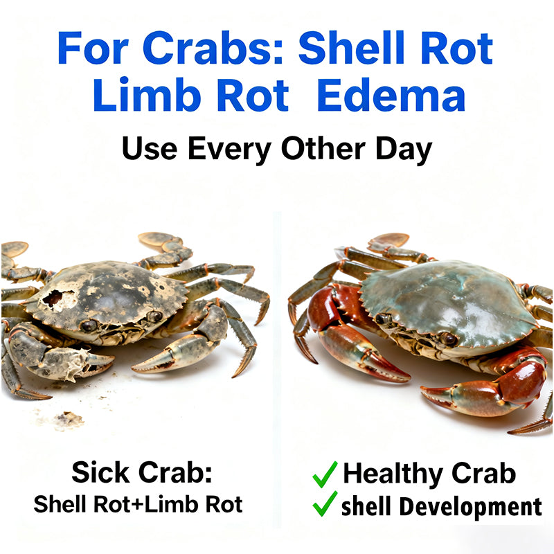 Aquatic Safe-Skin Rot, Gill Rot & Fungal Growth—Safe & Efficient