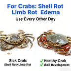 Aquatic Safe-Skin Rot, Gill Rot & Fungal Growth—Safe & Efficient