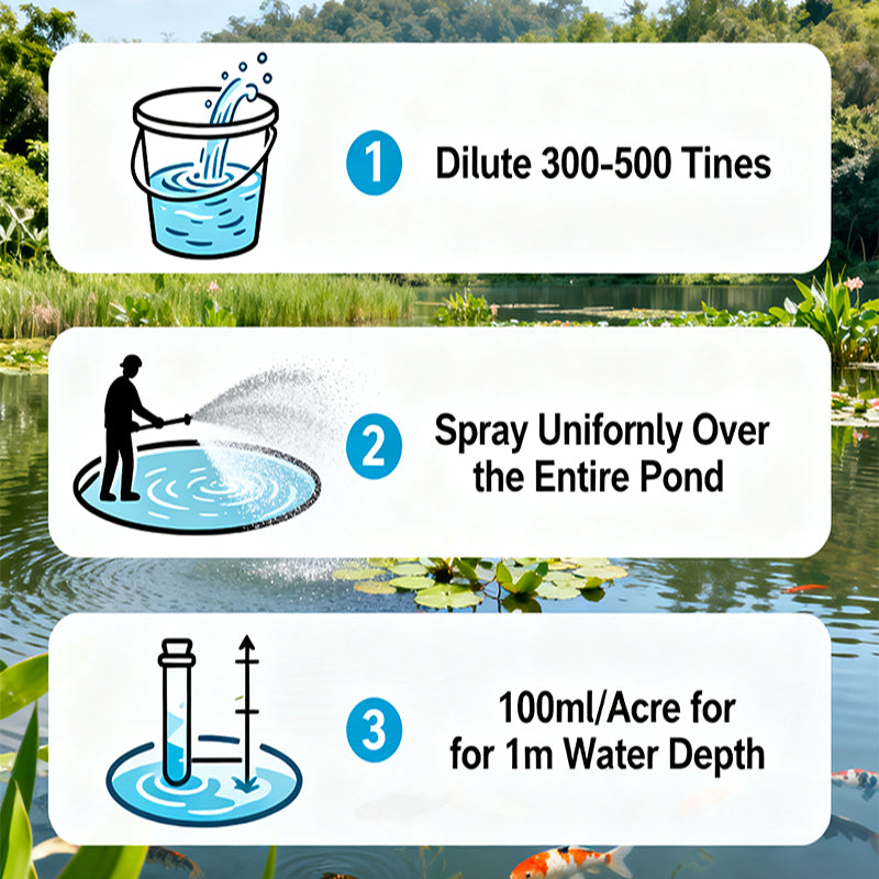 Polybasic Organic Acids