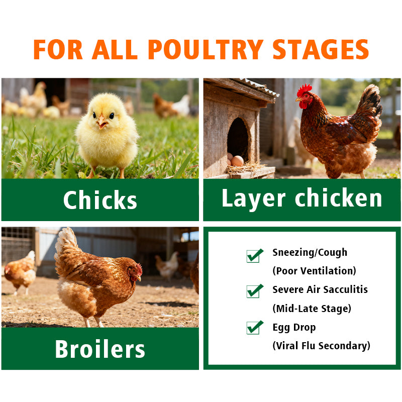 AirsacClear-Poultry Respiratory Health Additive
