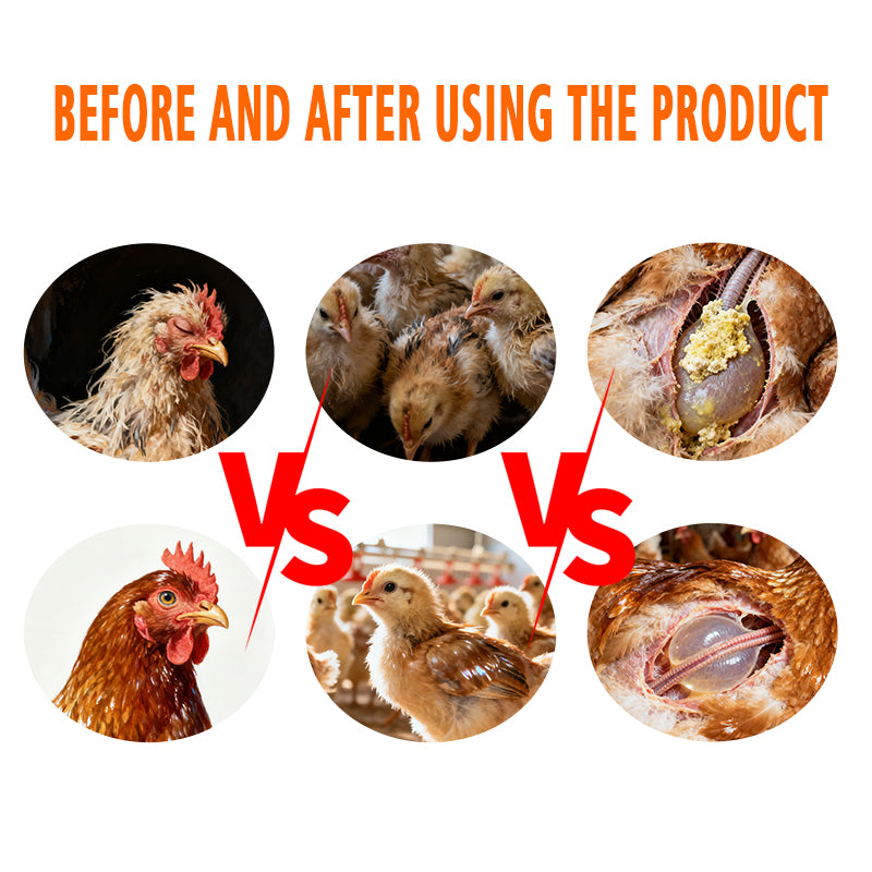 AirsacClear-Poultry Respiratory Health Additive