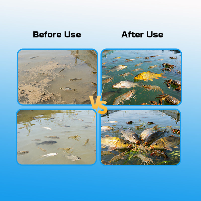 AquaGain Pro-Improves Feed Conversion / Enhances Protein Absorption / Promotes Rapid Weight Gain