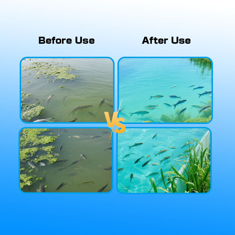 AquaTox Clear-Water Power Regulate water quality