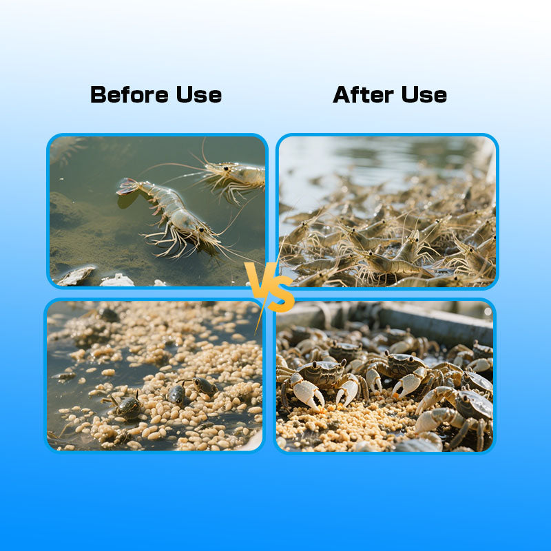 Aquamin Forte-Aquaculture Probiotics, Vitamins，Minerals Supplement