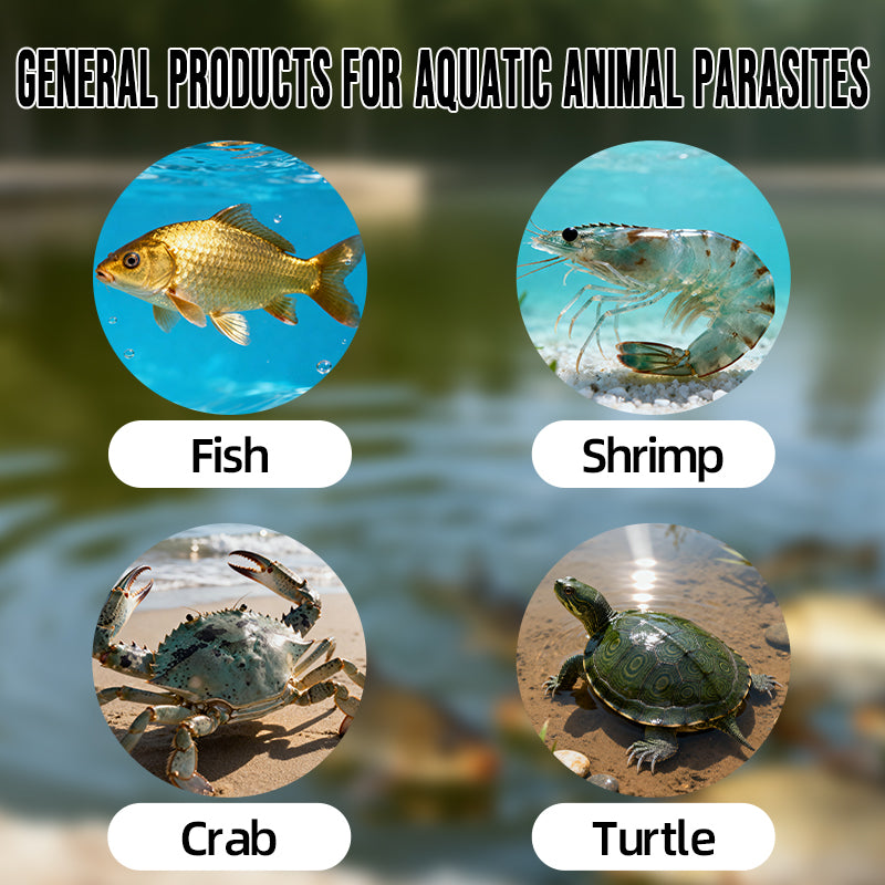 Aquatic Parasite Clear-Internal and external deworming · Plant extraction · Safe and thorough · Essential for aquaculture deworming