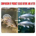 Aquatic Parasite Clear-Internal and external deworming · Plant extraction · Safe and thorough · Essential for aquaculture deworming