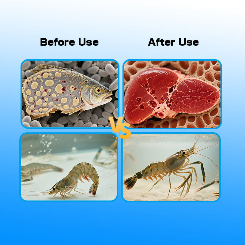 Aquatic Stress-Sooth-Appetite Enhancement, Liver Protection, Vitamin Supplementation