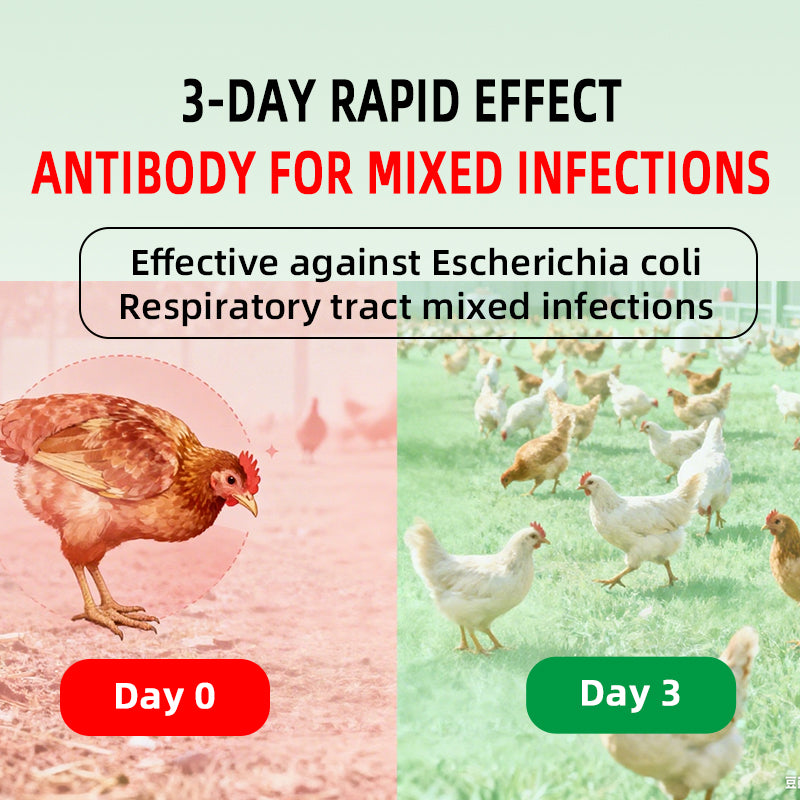 Bai Yan Xiao - Poultry Inflamation Clear