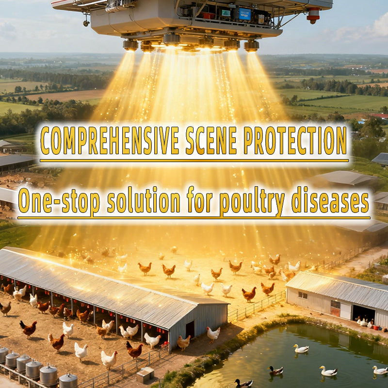 Bai Yan Xiao - Poultry Inflamation Clear