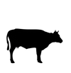 Cattle and Sheep Farming