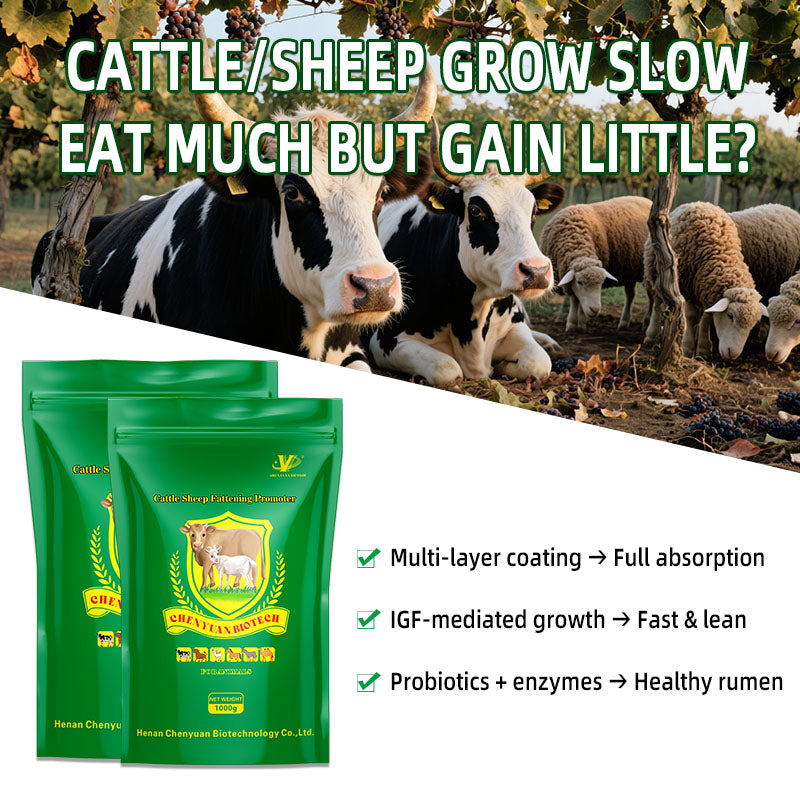 Cattle Sheep Fattening Promoter-Skeletal Development • Rapid Weight Gain • High Meat Yield • Low Feed Conversion Ratio