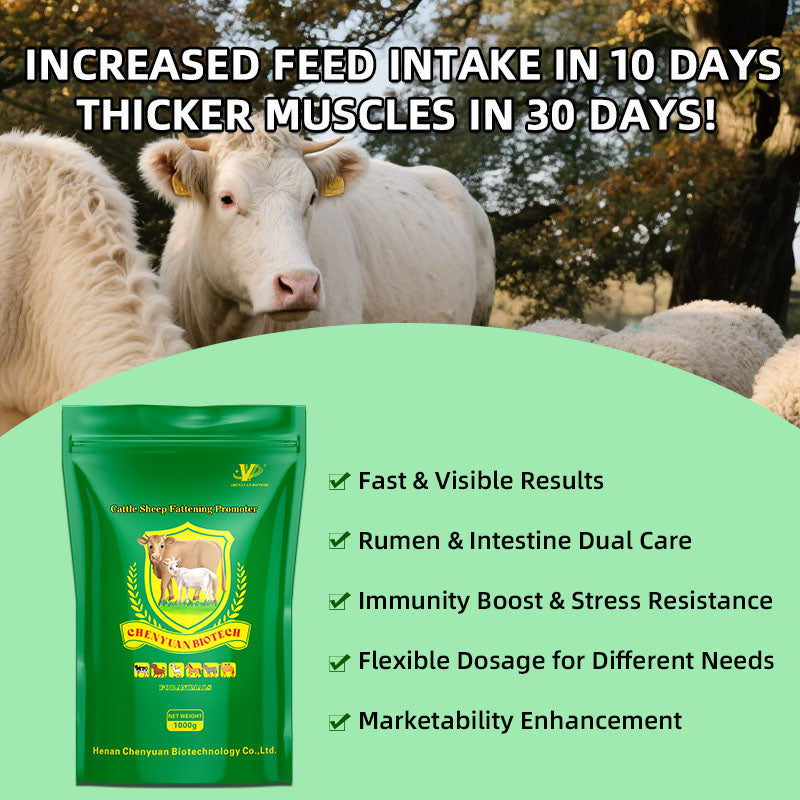 Cattle Sheep Fattening Promoter-Skeletal Development • Rapid Weight Gain • High Meat Yield • Low Feed Conversion Ratio