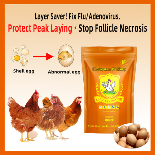 Anti-Flu Powder-Antiviral & Immune Booster for Poultry