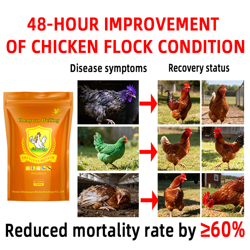 Chenyuan Weiling-Antiviral & Immune Booster for Poultry