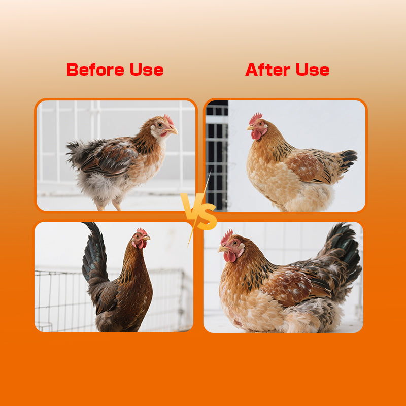 Fat-Win (for Chicken) -Poultry Growth Promoter-broiler growth booster