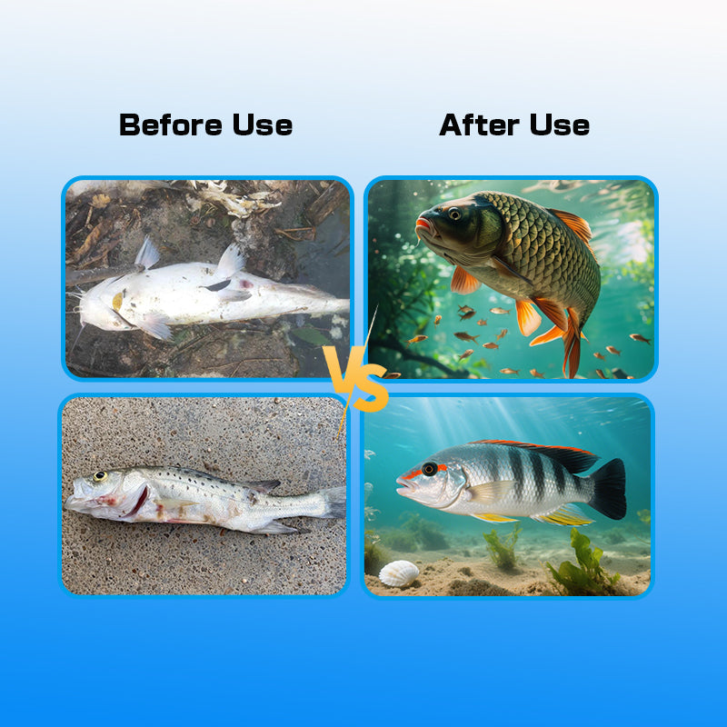 Fish Growth Booster-Vitamin Premix Feed for Fish