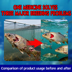 FlorAqua-Spectrum-Prevent & treat bacterial diseases in fish (freshwater/marine)