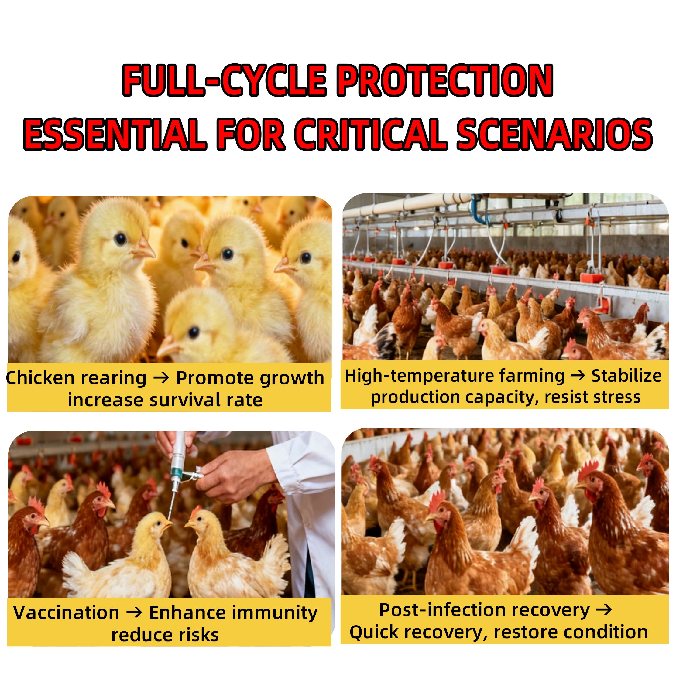 Golden Vitasol – Animal Vitamin