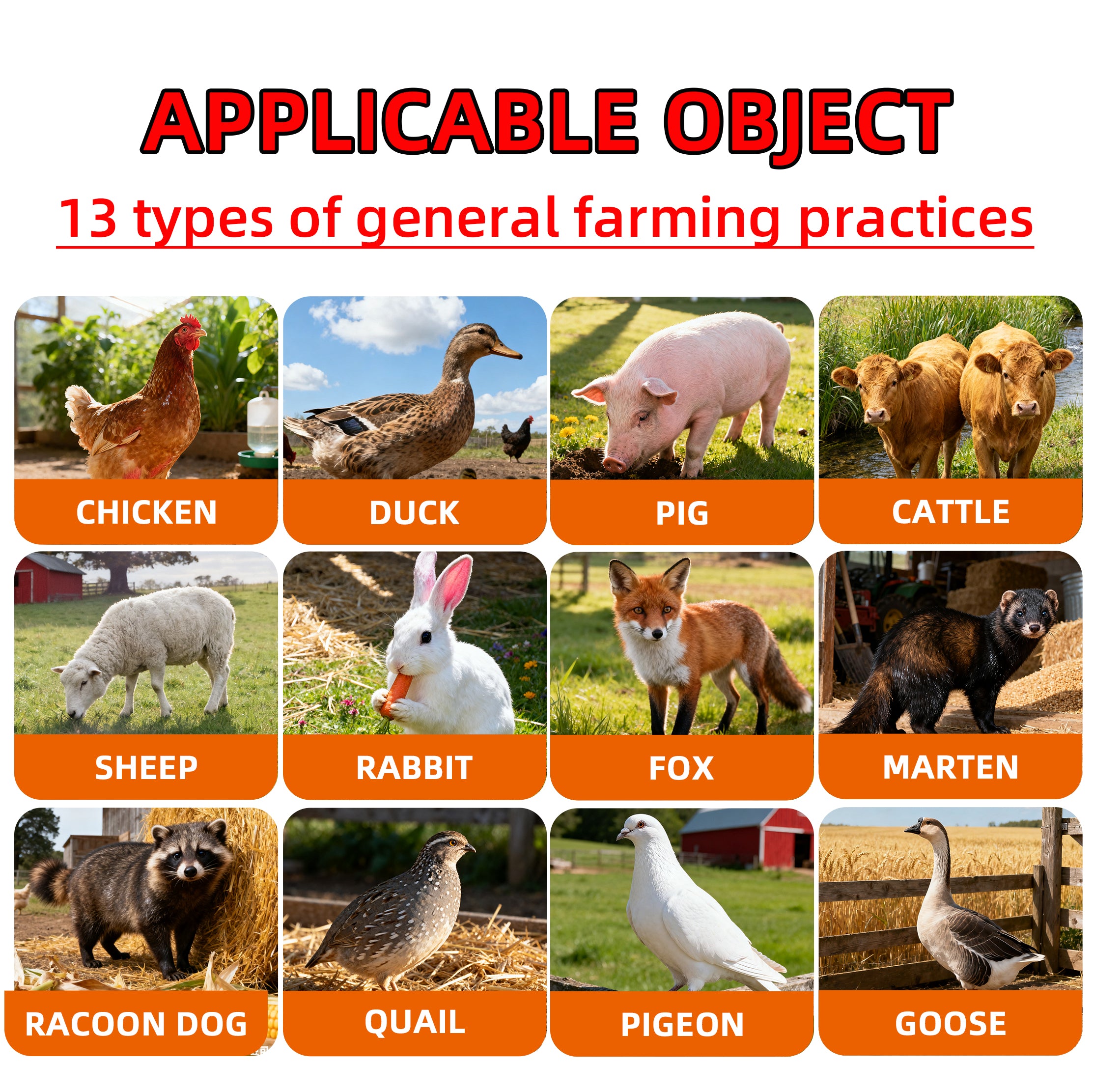 Golden Vitasol – Animal Vitamin