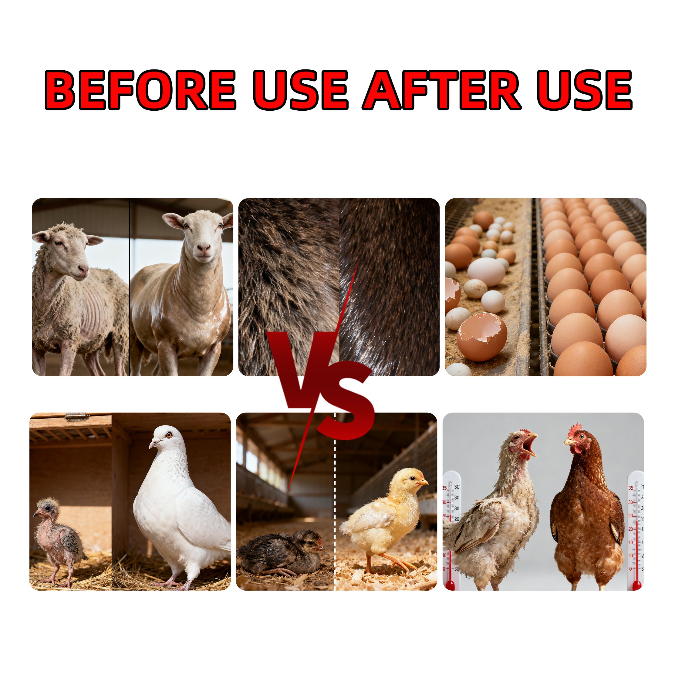 Golden Vitasol – Animal Vitamin