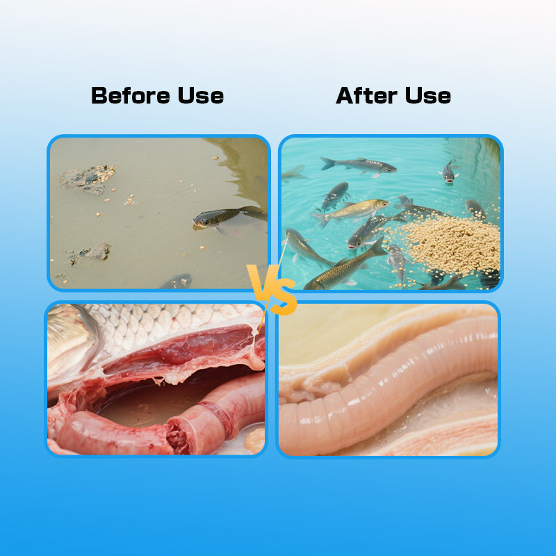 Gut Power-Regulates Intestines · Replenishes Flora · Enhances Growth