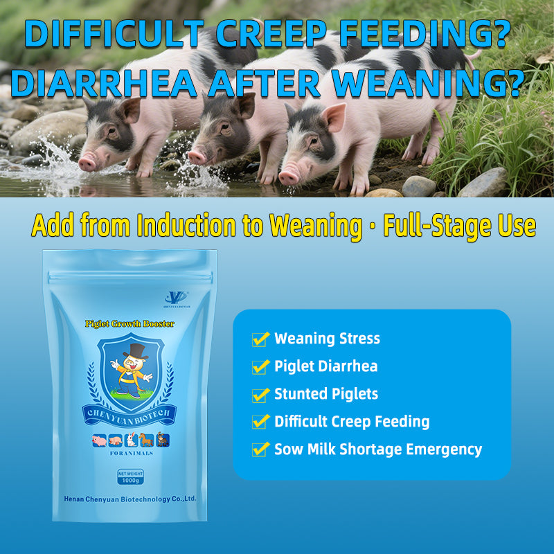 Piglet Growth Booster-Piglet Feed Additive-Improve the survival rate of piglets. Increase the weaning litter weight.