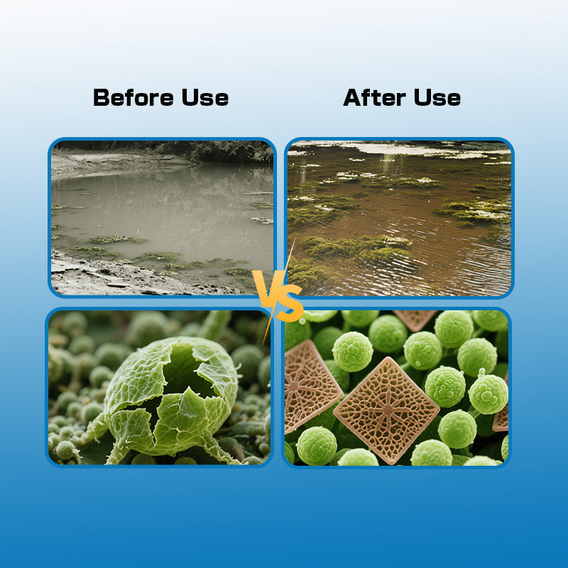 Pond Fertiizer Powder-Low-Temp Water Fertilizer / Targeted Algae Cultivation / Long-Lasting Fertilizing Power