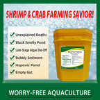 Pond Muck Cleaner-Oxidizes Black Sludge / Decomposes Mud Skin / Increases Dissolved Oxygen