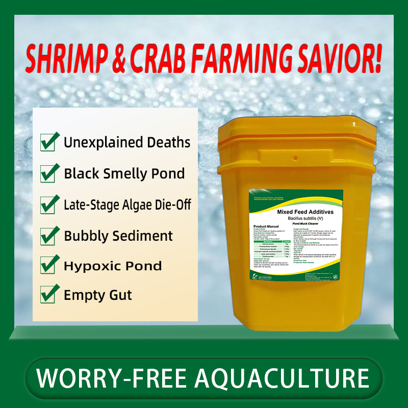 Pond Muck Cleaner-Oxidizes Black Sludge / Decomposes Mud Skin / Increases Dissolved Oxygen