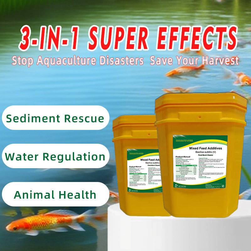 Pond Muck Cleaner-Oxidizes Black Sludge / Decomposes Mud Skin / Increases Dissolved Oxygen