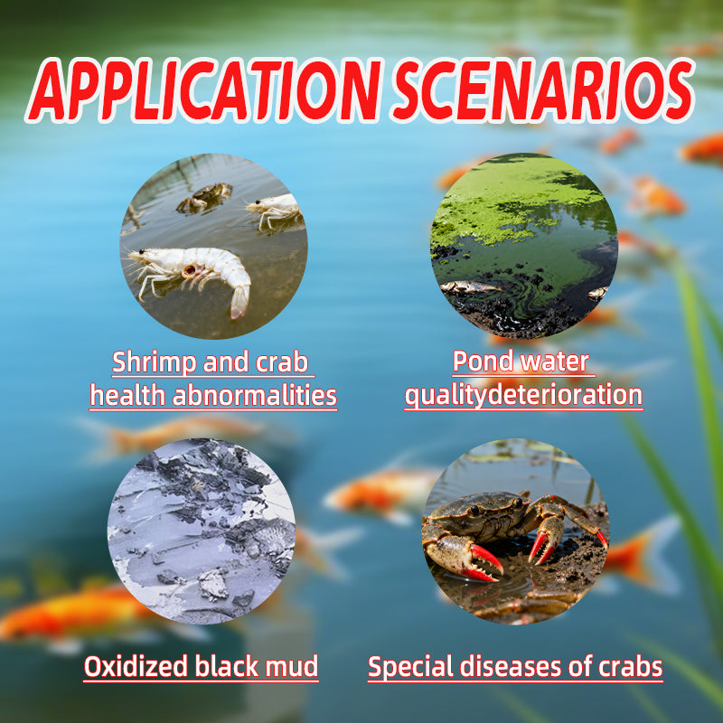 Pond Muck Cleaner-Oxidizes Black Sludge / Decomposes Mud Skin / Increases Dissolved Oxygen
