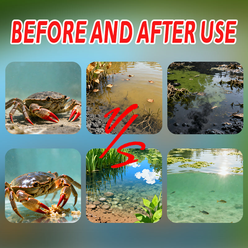 Pond Muck Cleaner-Oxidizes Black Sludge / Decomposes Mud Skin / Increases Dissolved Oxygen
