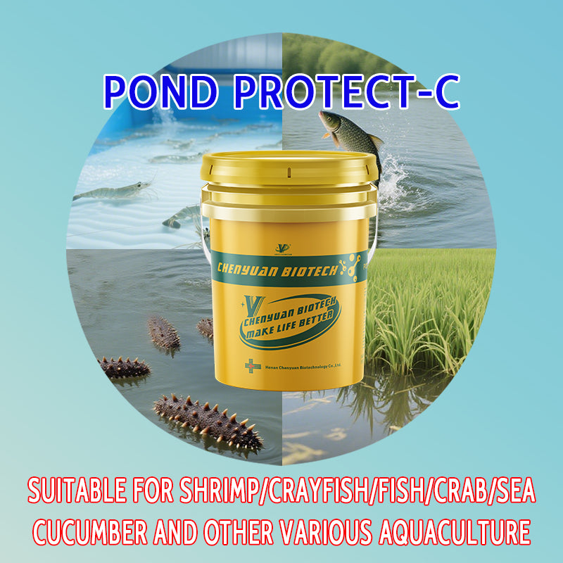 Pond Protect-C-Carbon Supplement / Bacteria Stabilization & Intestinal Improvement