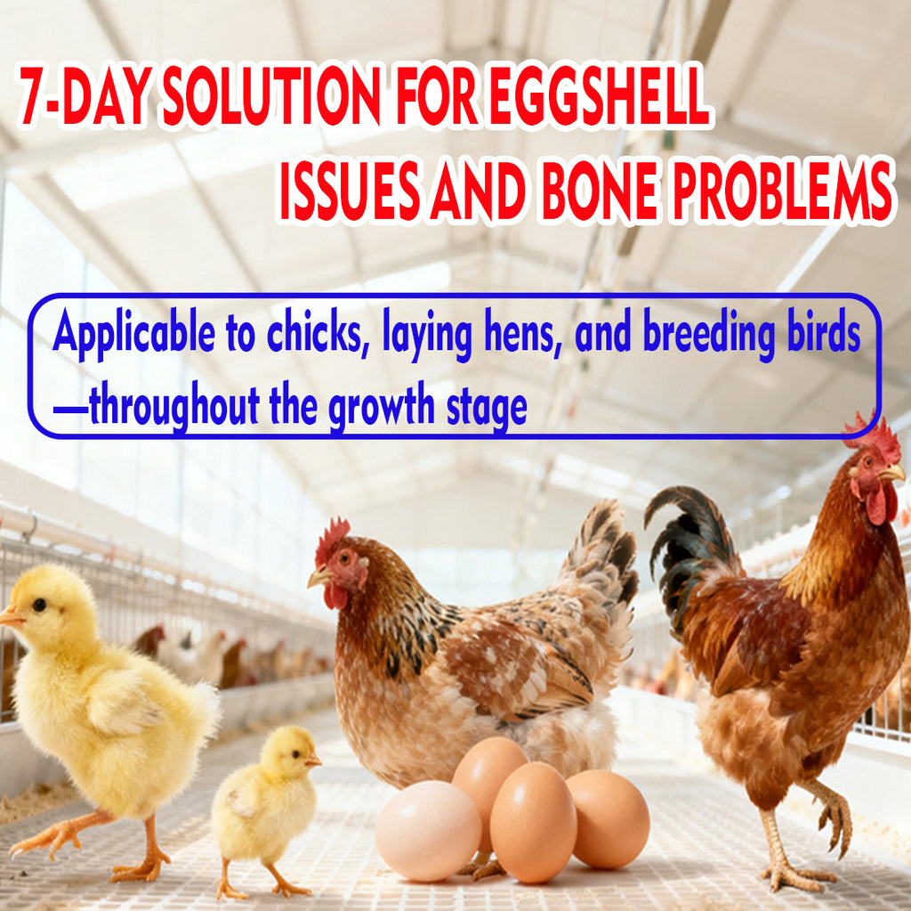 Poultry EnerCal-Premium Calcium Supplement for Poultry