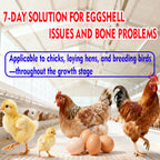 Poultry EnerCal-Premium Calcium Supplement for Poultry