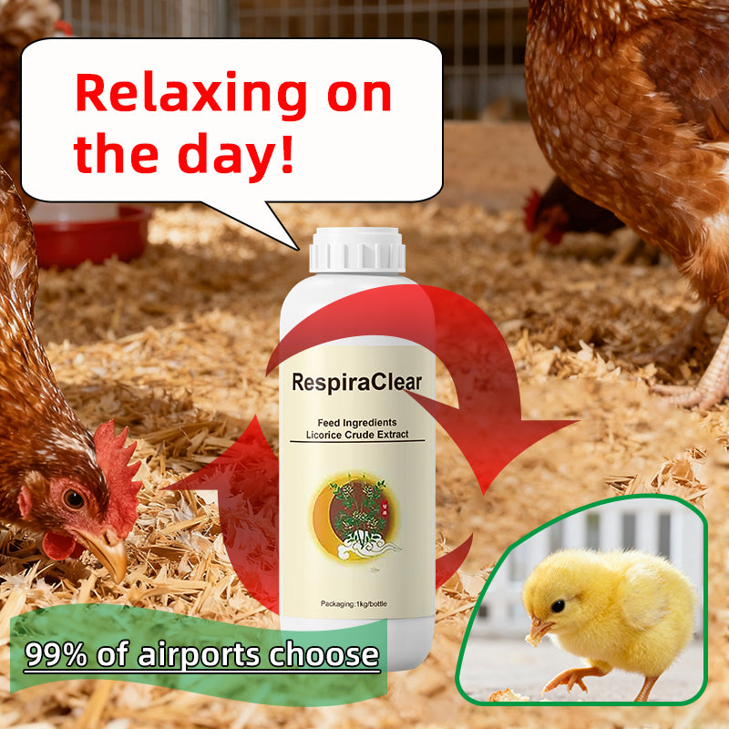 Hu Du Qing-Respiratory Disease Control in Poultry