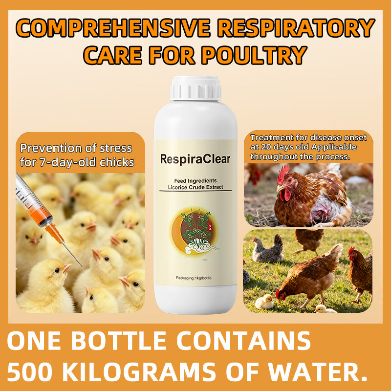 Hu Du Qing-Respiratory Disease Control in Poultry