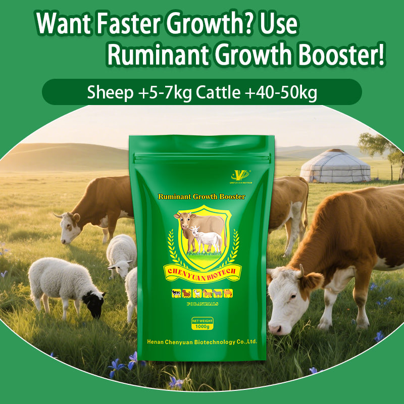 Ruminant Growth Booster-Faster weight gain & early slaughter Enhanced immunity & disease resistance