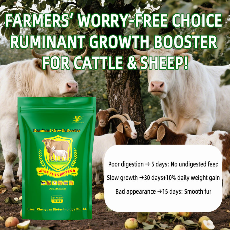 Ruminant Growth Booster-Faster weight gain & early slaughter Enhanced immunity & disease resistance