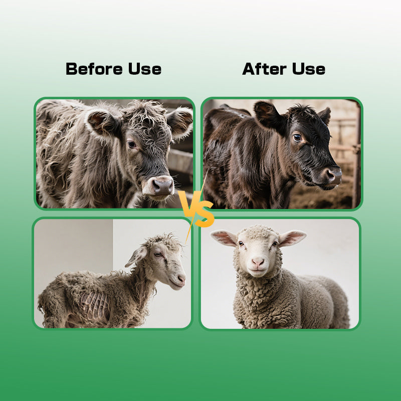 Ruminant Growth Booster-Faster weight gain & early slaughter Enhanced immunity & disease resistance