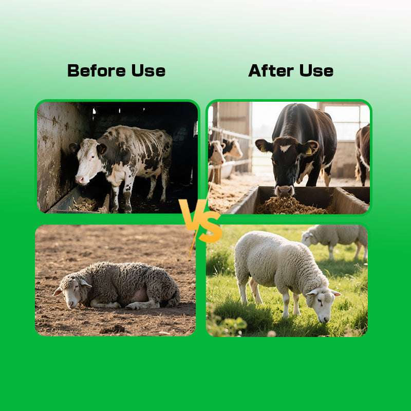 Ruminant Stomach Power-Appetite Induction · Fattening Promotion · Feed Utilization Enhancement