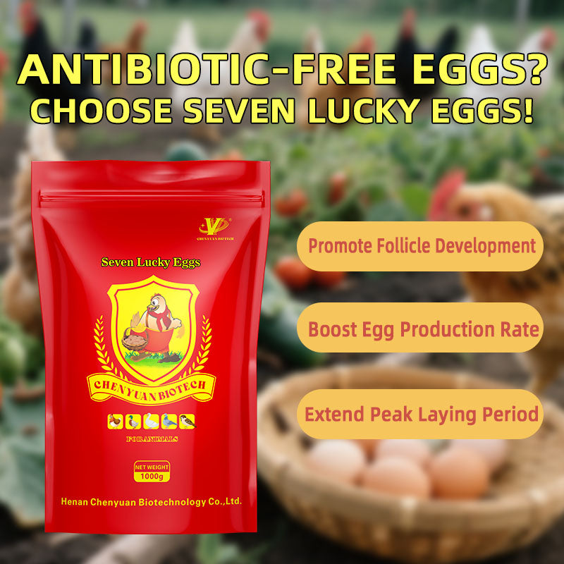 Seven Lucky Eggs-Layer Hen Egg Booster