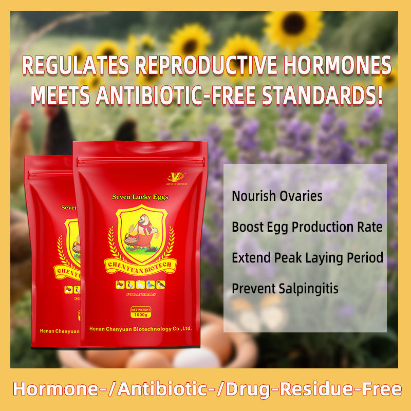 Seven Lucky Eggs-Layer Hen Egg Booster