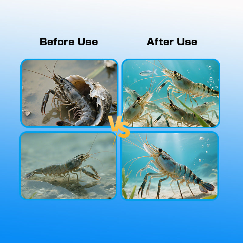 Shrimp Growth Booster-Vitamin Premixed Feed for Shrimp